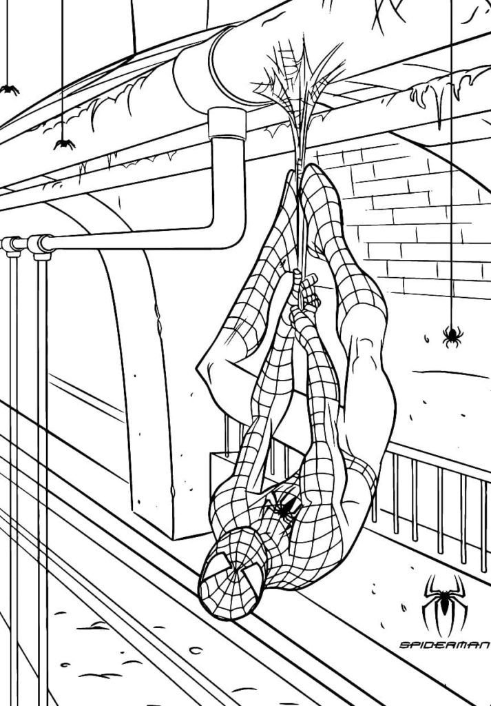 Spiderman colgado en la web