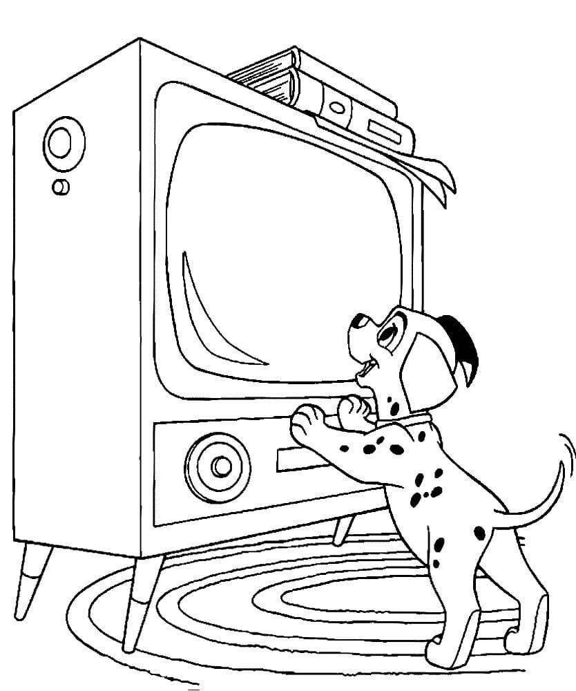 cachorro y tv