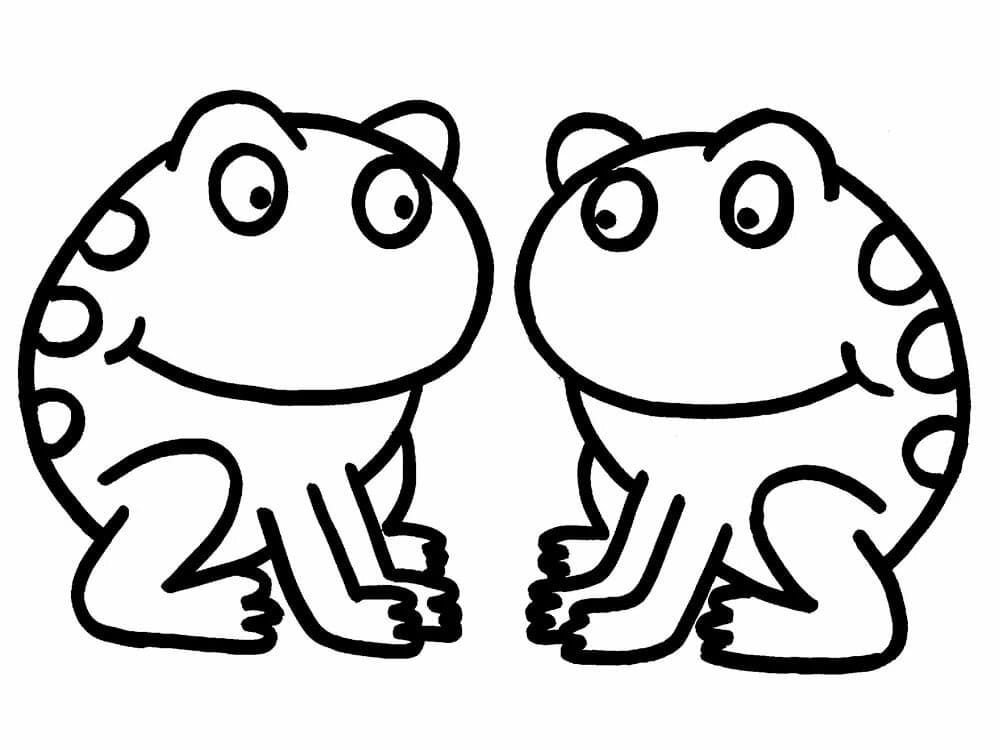 Dos ranas idénticas