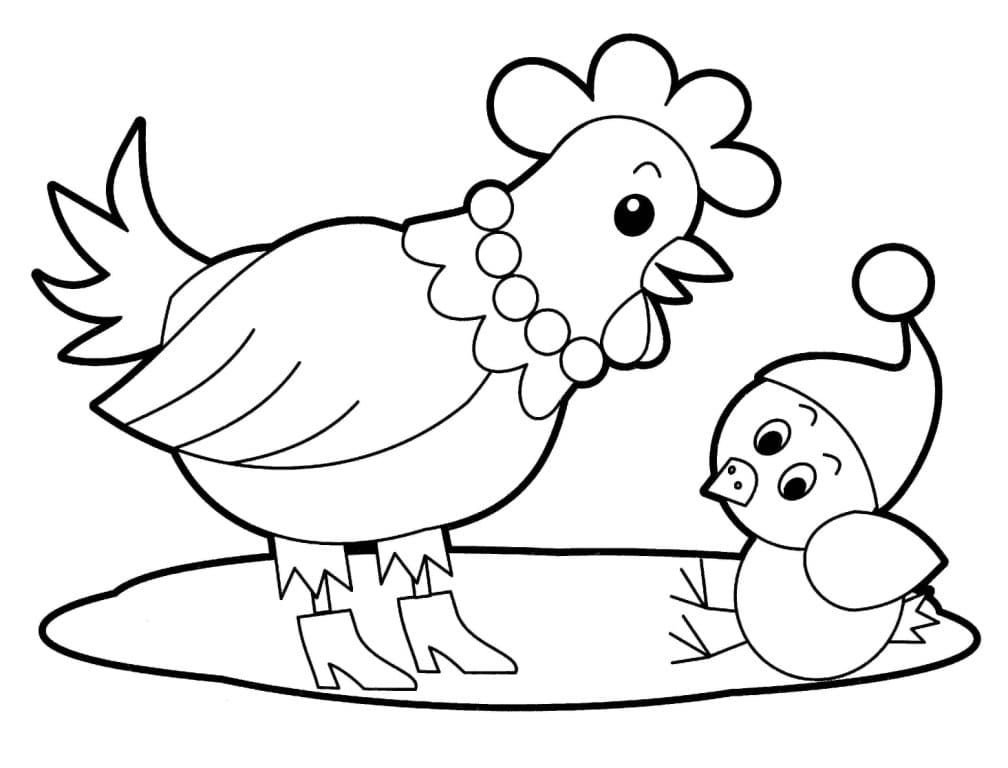 El pollo le enseña al pollo a lavarse