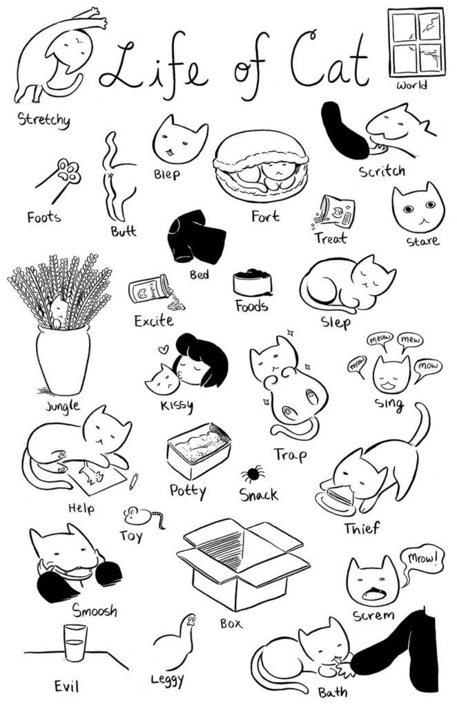 Estética de los gatitos