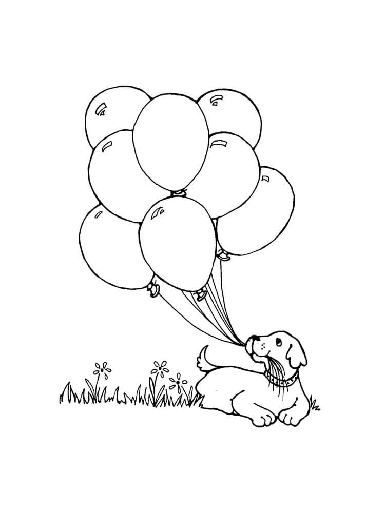 Cachorro con globos