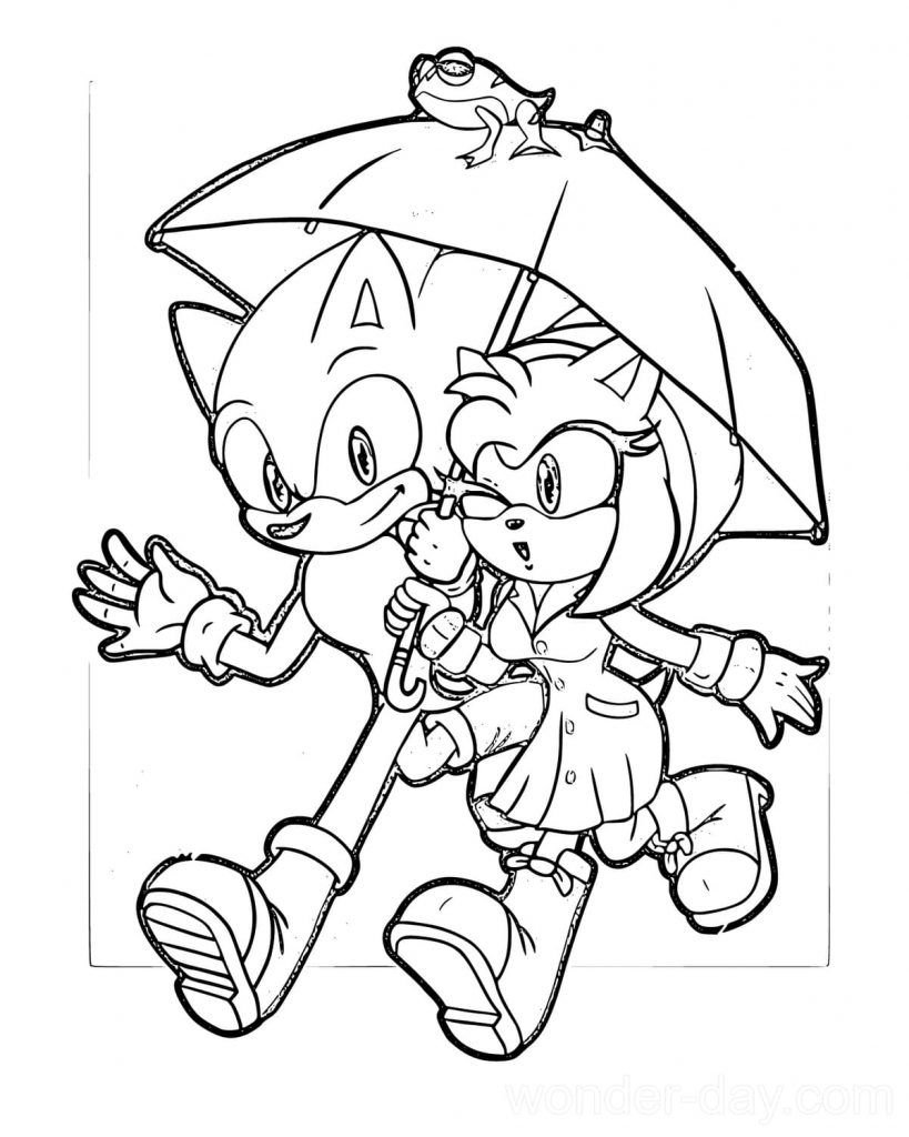amy rose y sonic