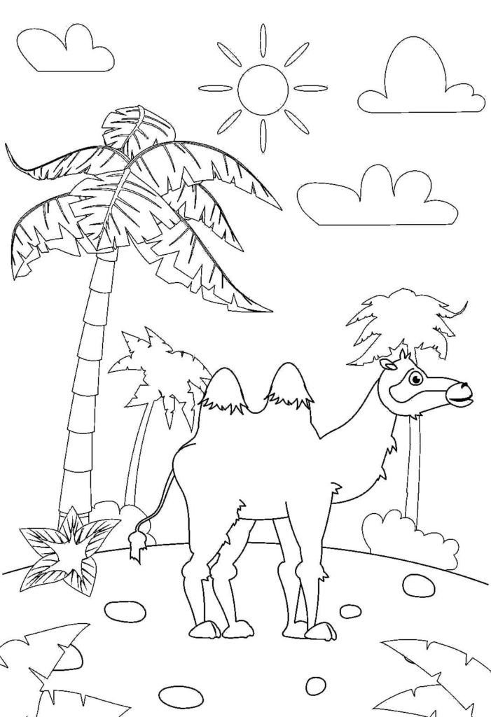 Camello y palmas