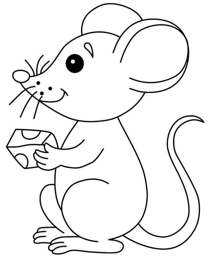 Ratón con queso