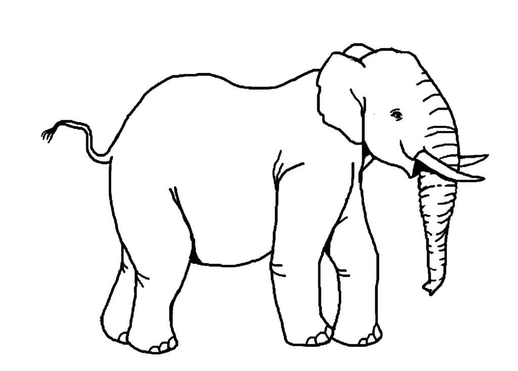 Elefante realista