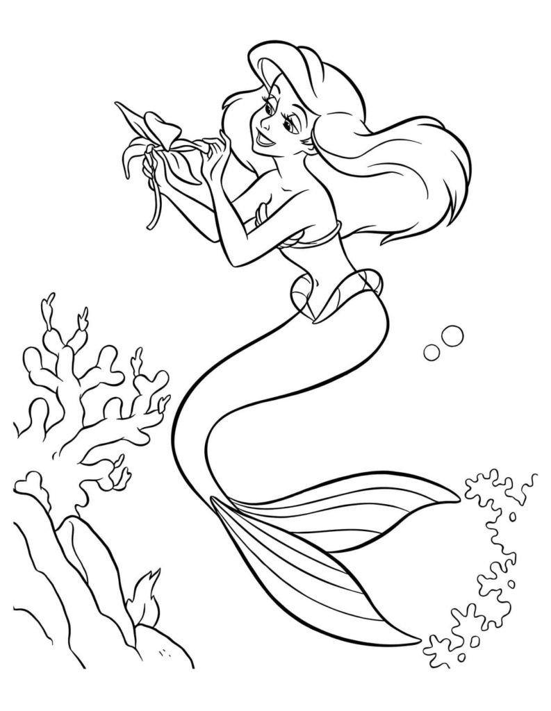Ariel con una flor