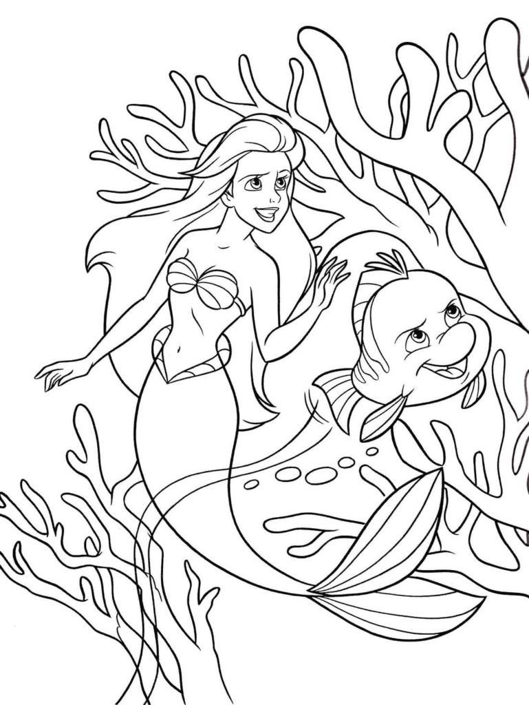 Ariel y el pez