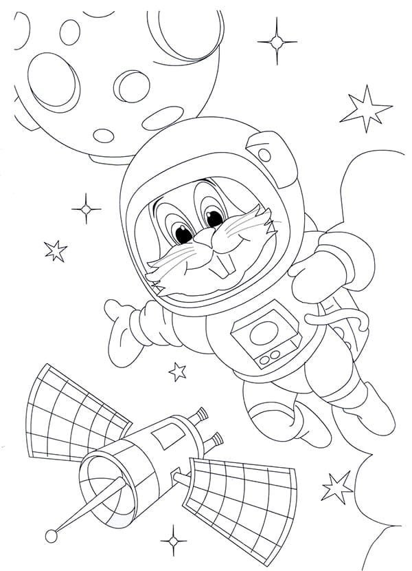 Astronauta ardilla
