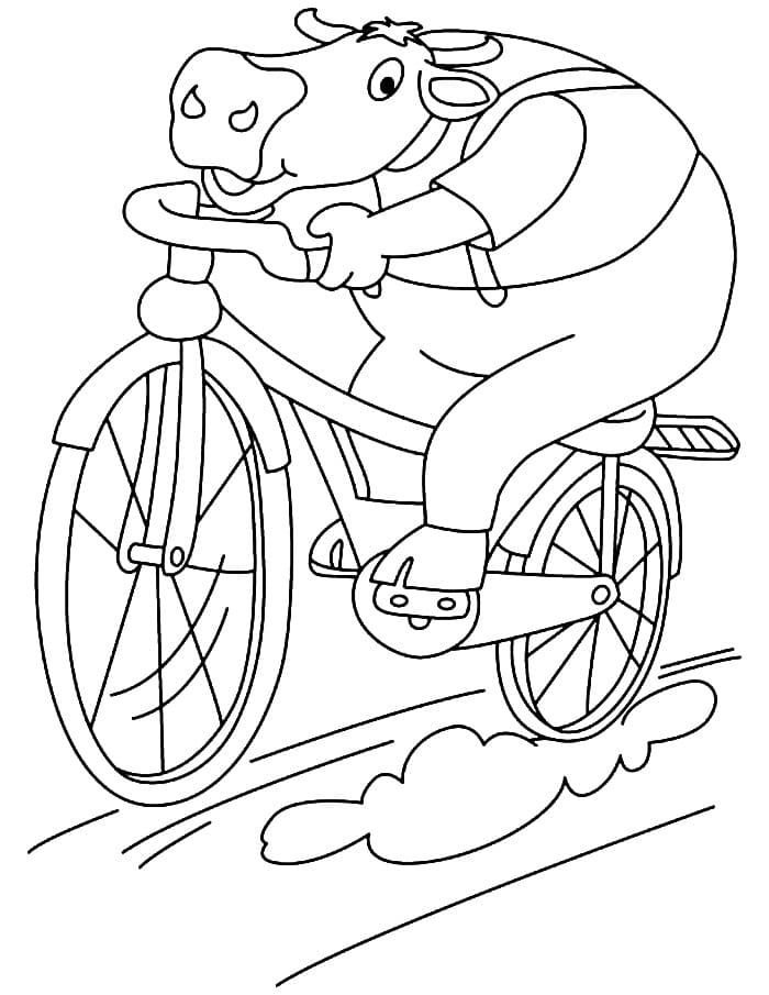 Toro joven monta una bicicleta