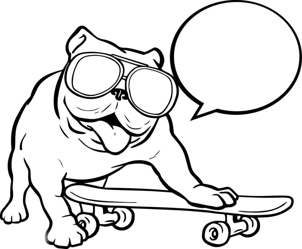 Bulldog montando una patineta