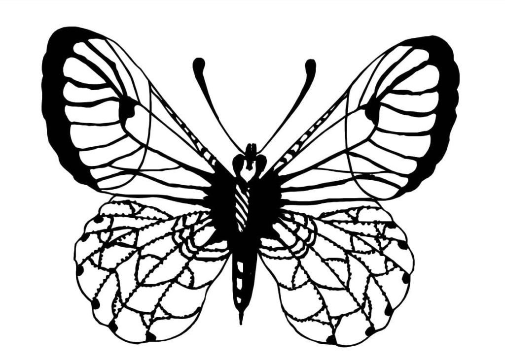 Mariposa grande