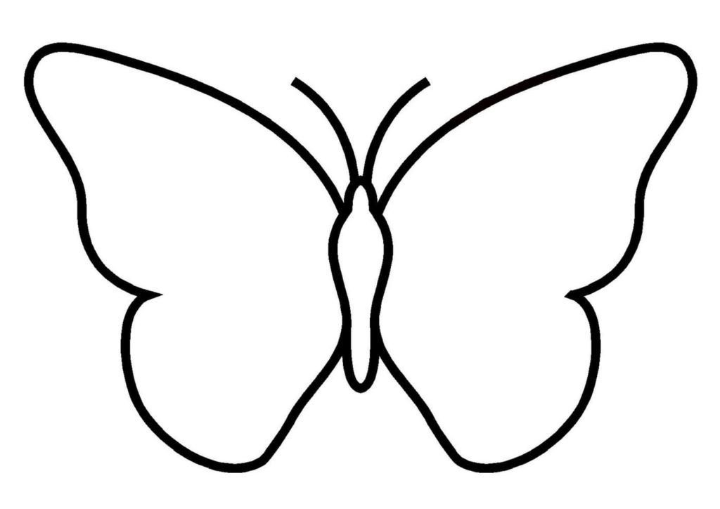 Plantilla de mariposa