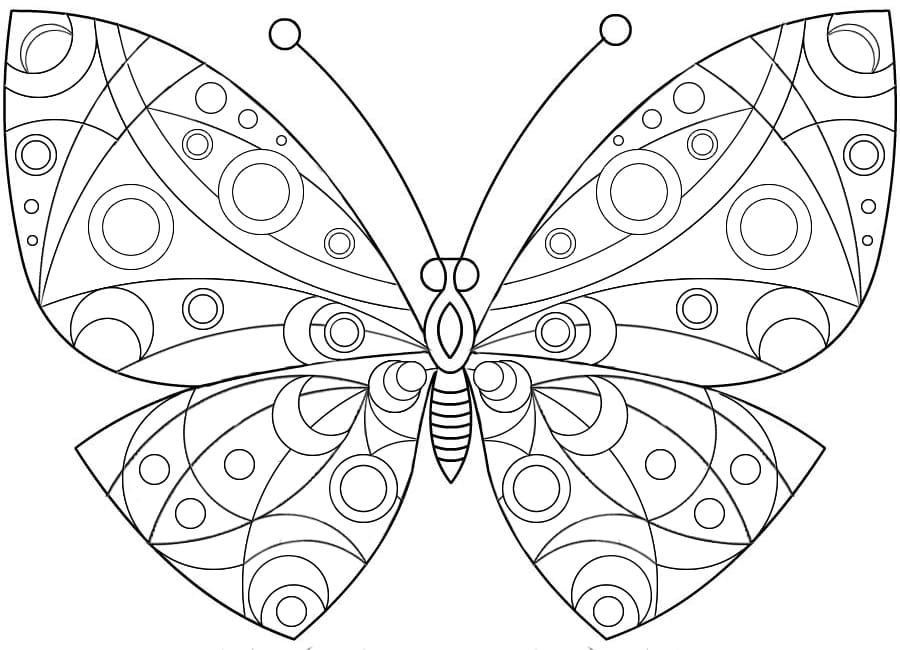 Mariposa grande con patrones