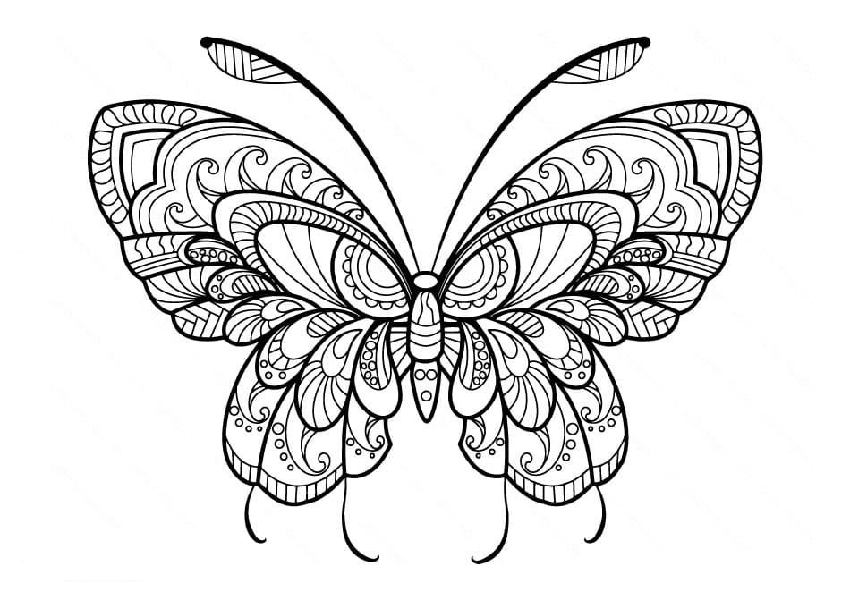 Mariposa con patrones complejos