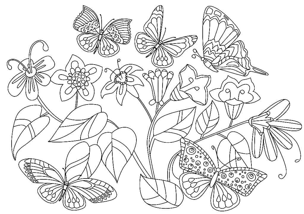 Muchas mariposas y flores.