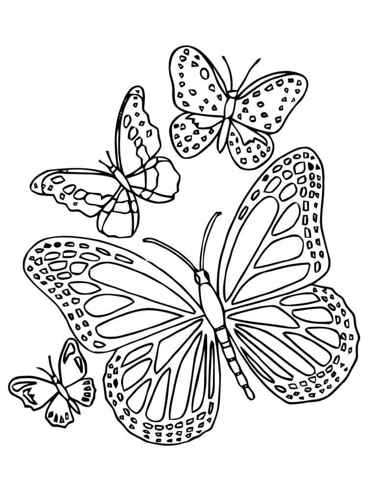 4 mariposas diferentes