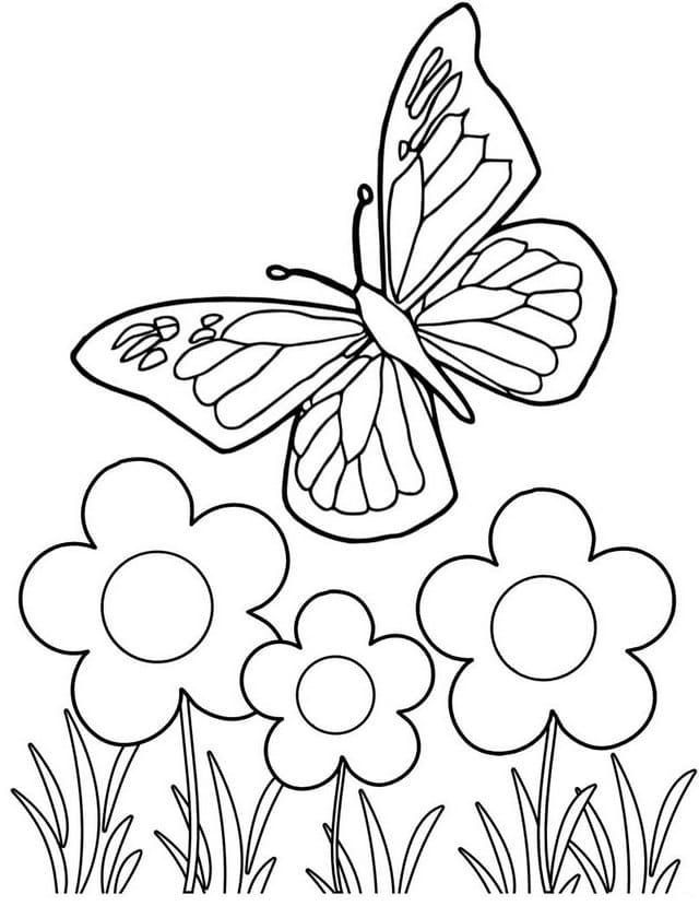 Mariposa y flores