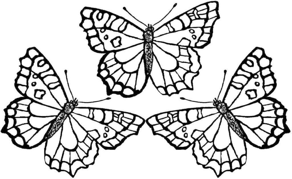 3 mariposas