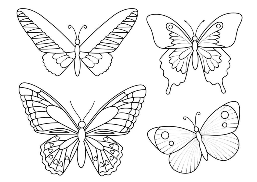 Muchas mariposas diferentes