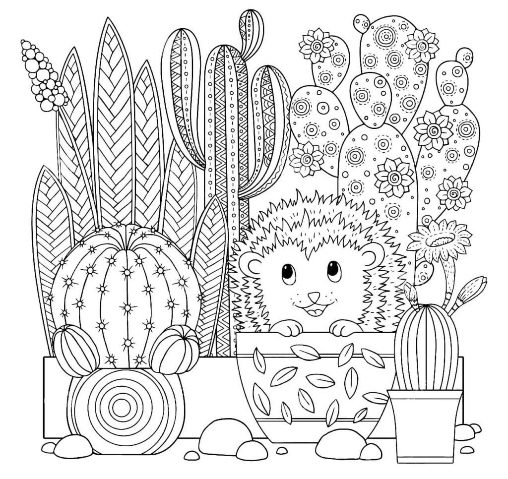 Erizo y cactus