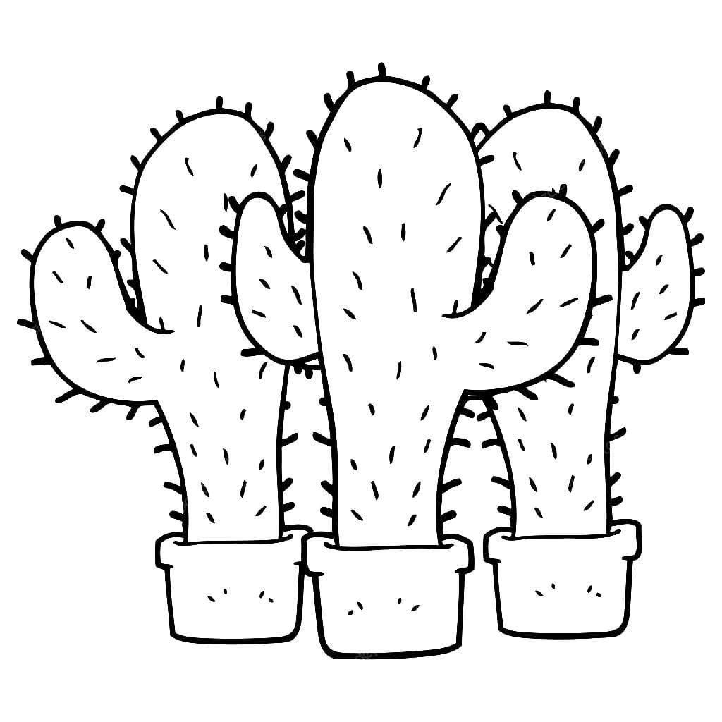 Tres cactus