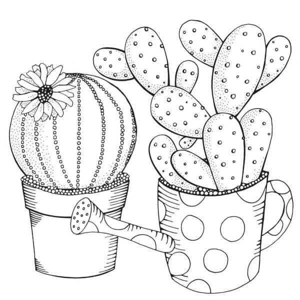 Dos cactus