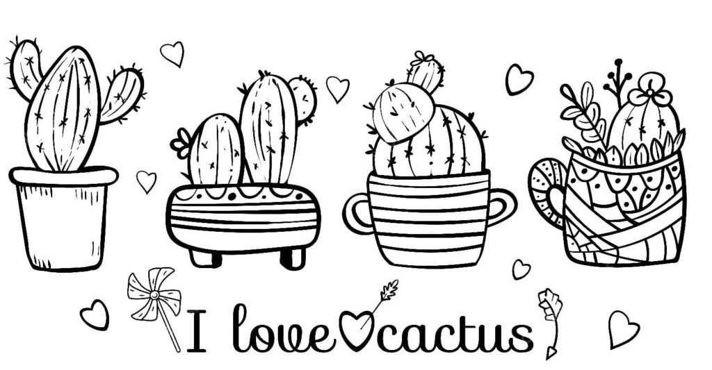 Estética de los cactus