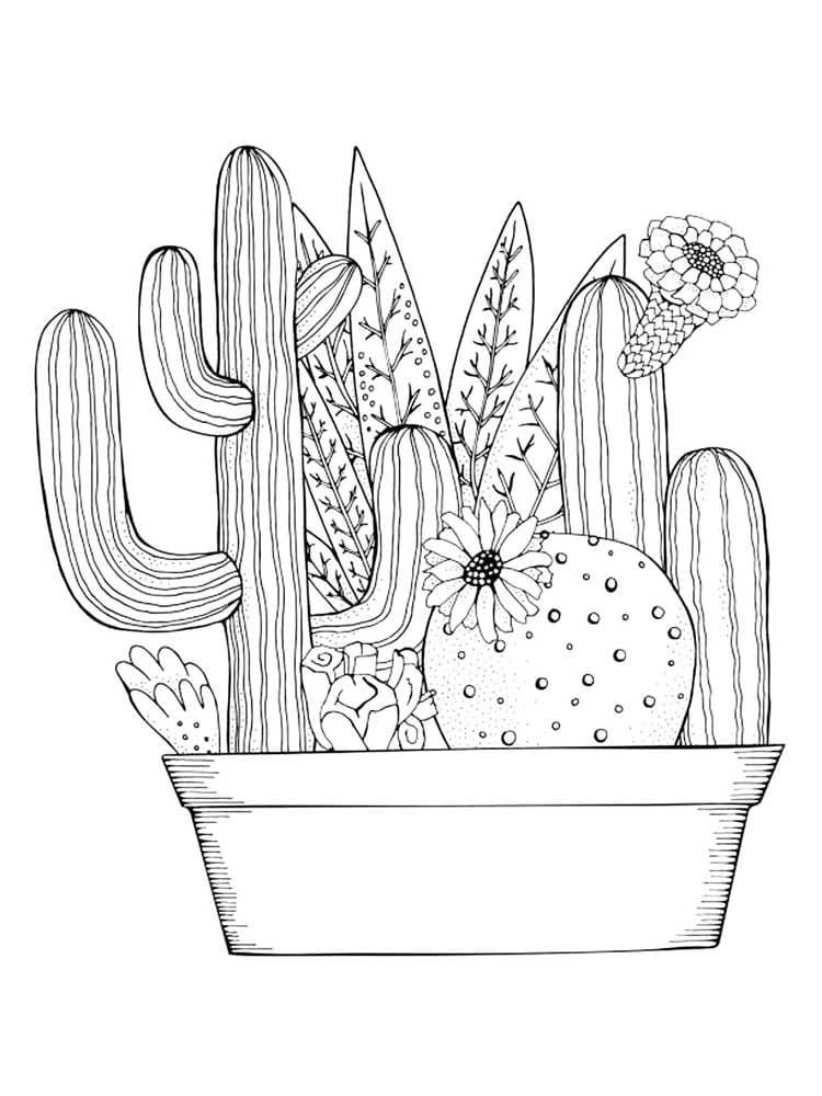 Varios cactus en una maceta.