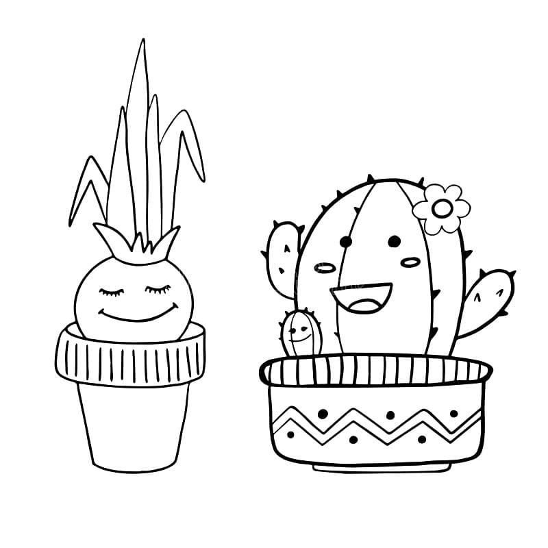 Cebollas y cactus