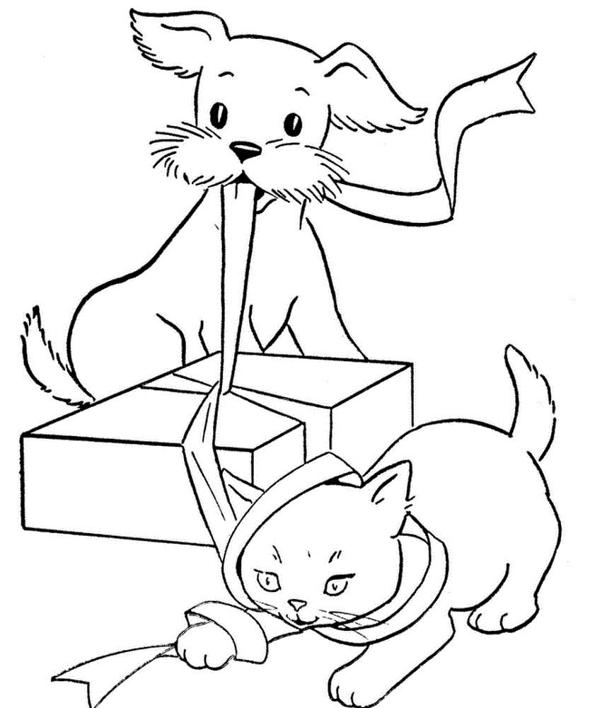 Gato y perro abren un regalo