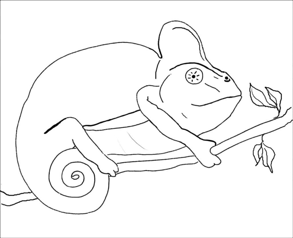 Dibujo de camaleón para colorear