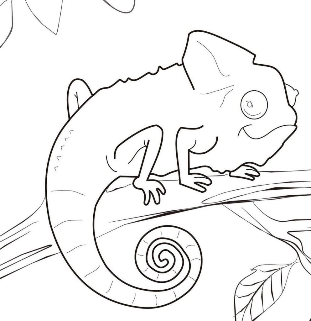 Dibujo de camaleón para colorear