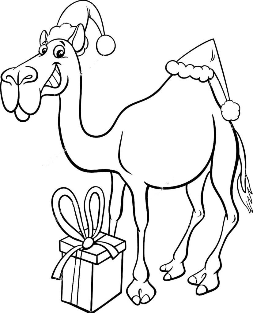 Camello con un regalo