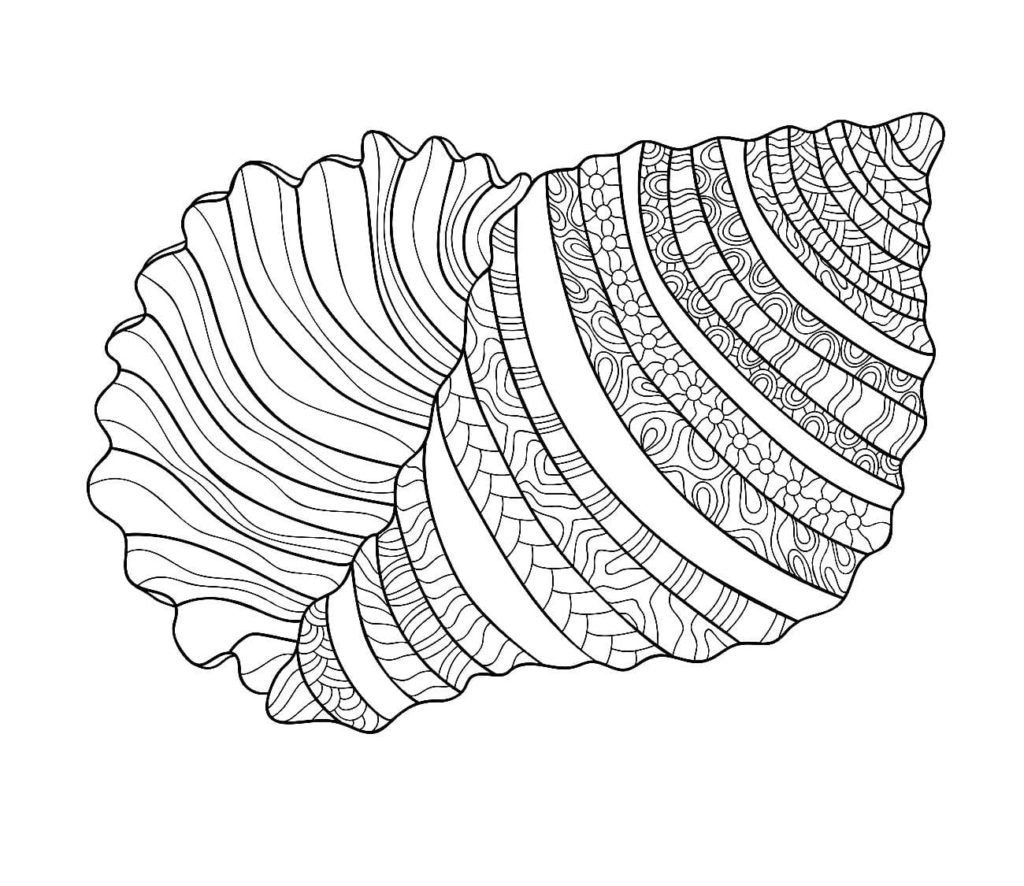 Shell con patrones