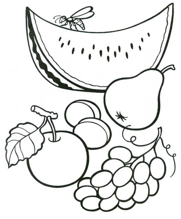 Bayas y frutas