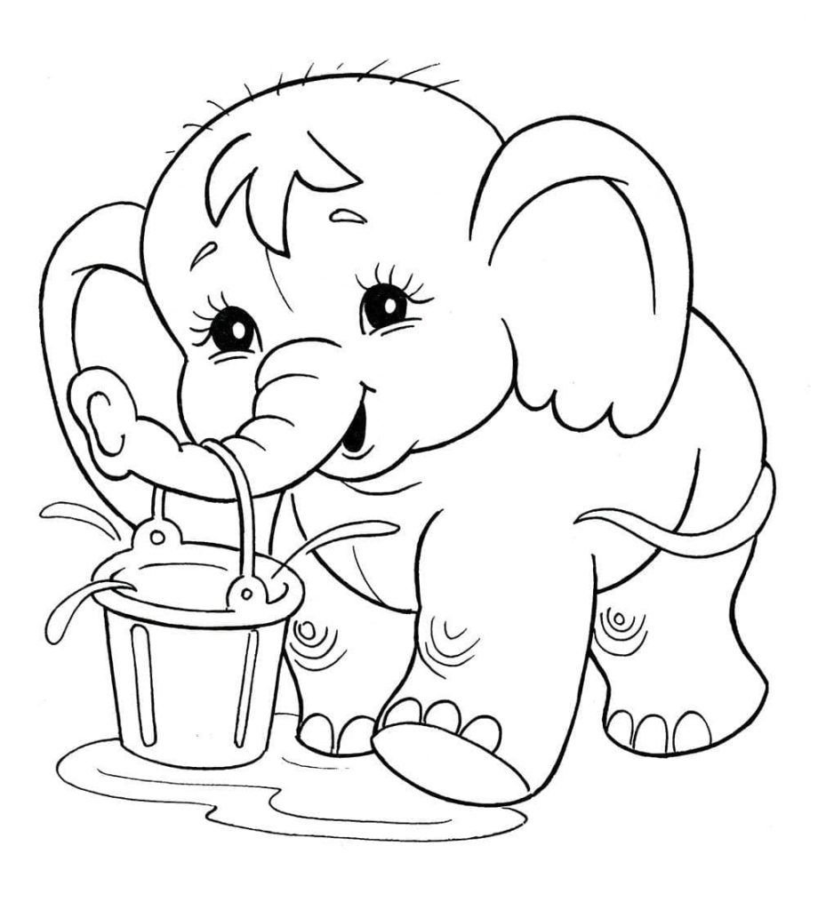Bebé elefante lleva un balde