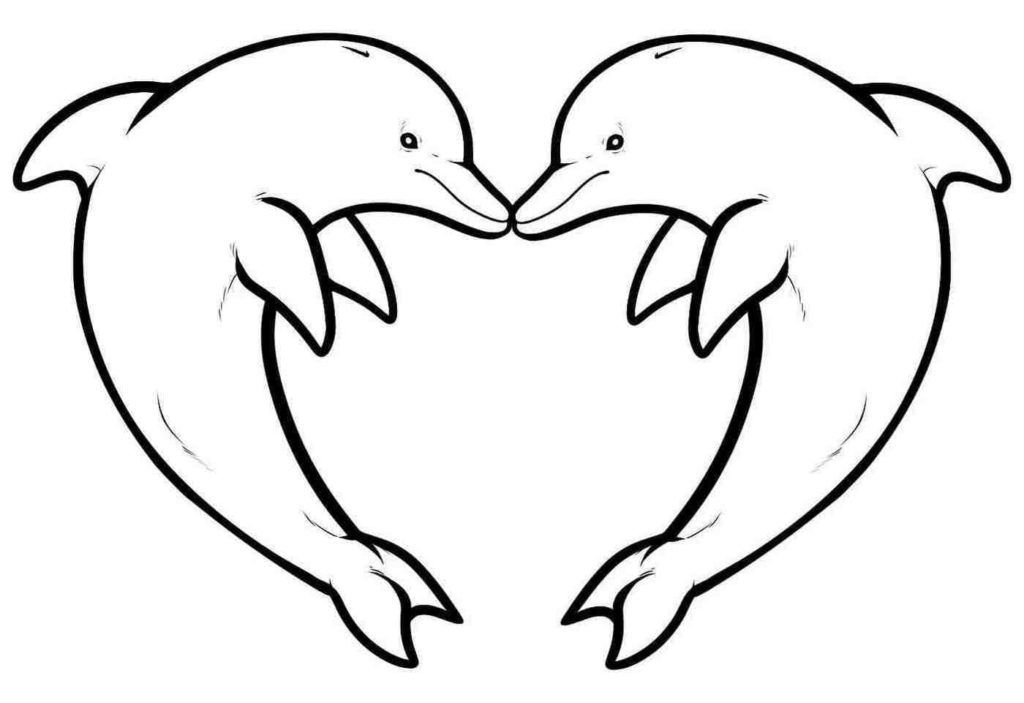 Amor de los delfines