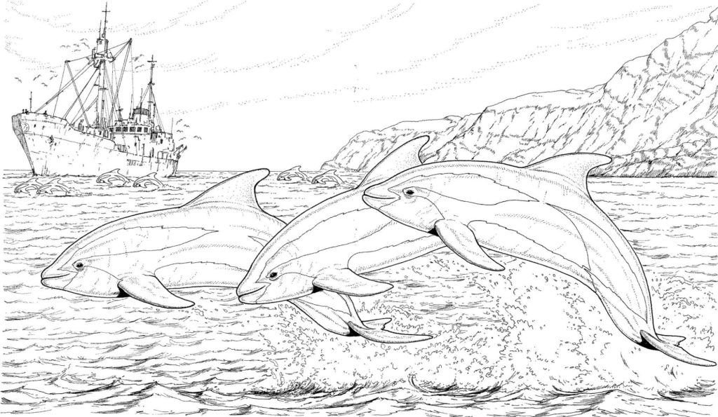 Delfines cerca del barco.