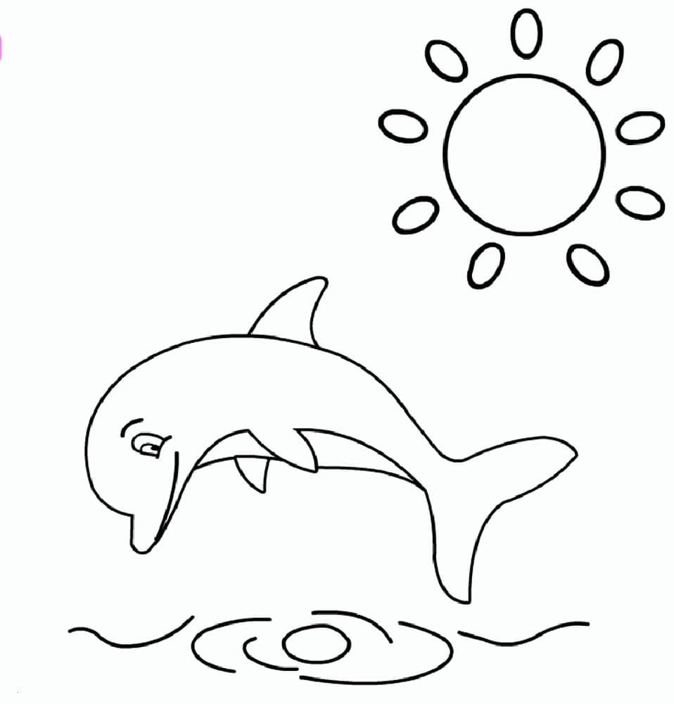 Delfines y sol