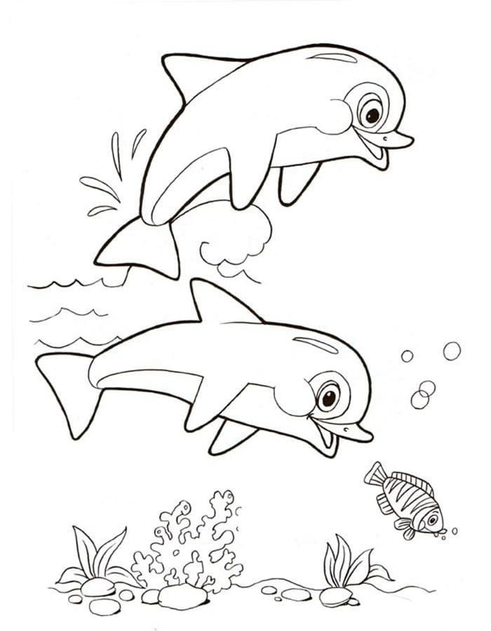 Dos delfines divertidos estÃ¡n sonriendo bajo el agua
