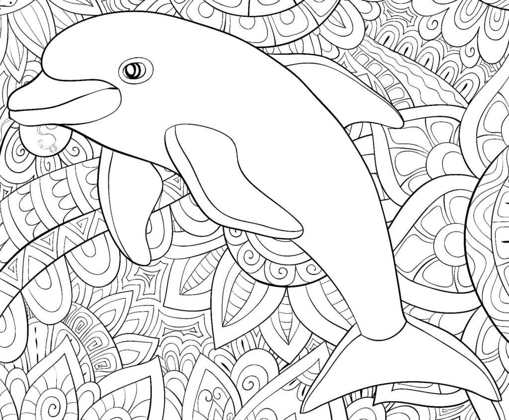 Delfín en el contexto de patrones complejos.