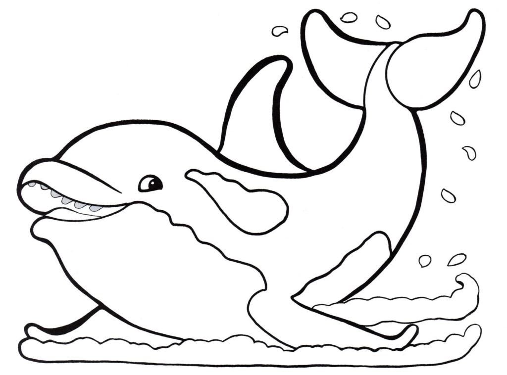 Delfines chapoteando en el agua