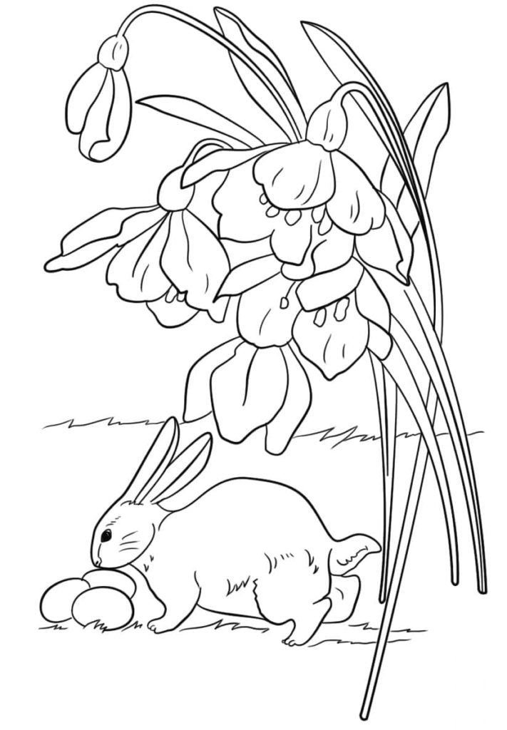 conejo y flores