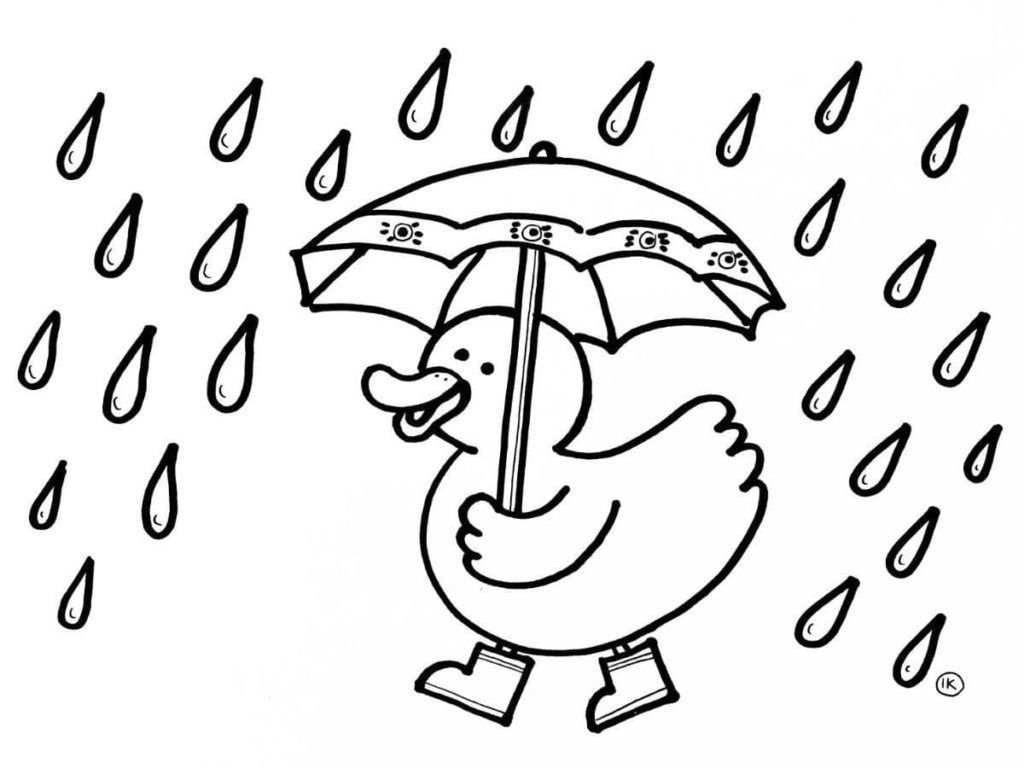 El pato no le teme a la lluvia, porque tiene un paraguas.