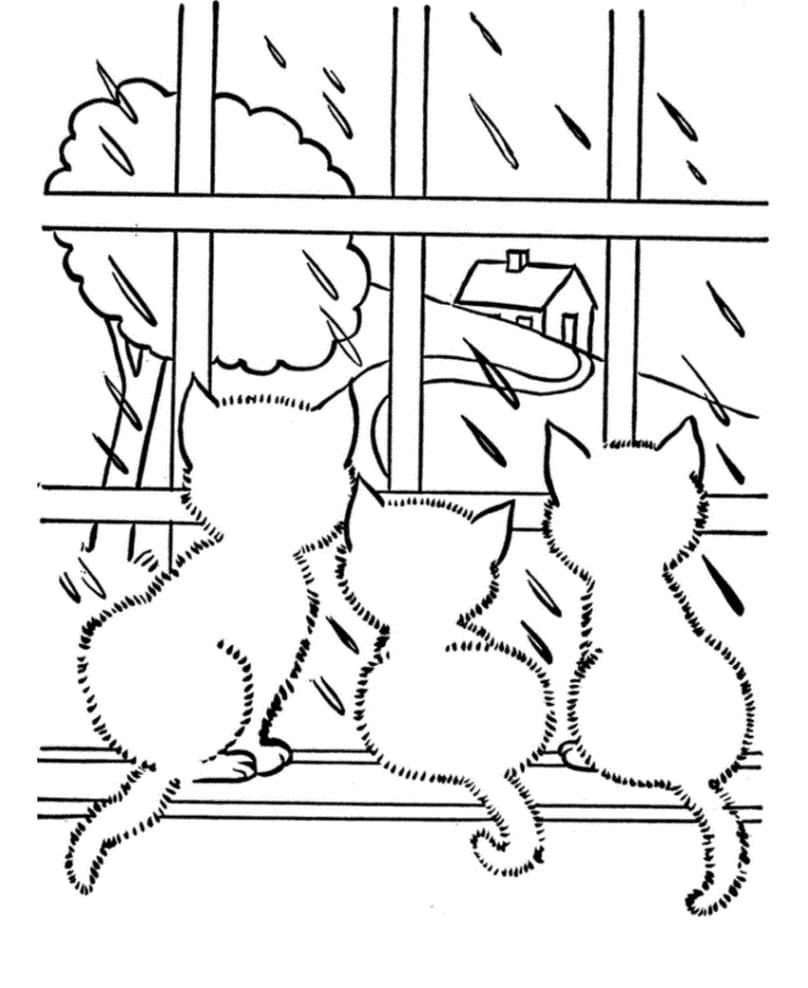 Los gatitos miran como llueve fuera de la ventana.
