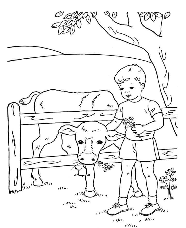 Niño alimentando una vaca