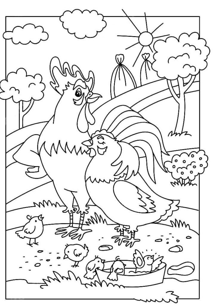 Familia de gallo y gallina