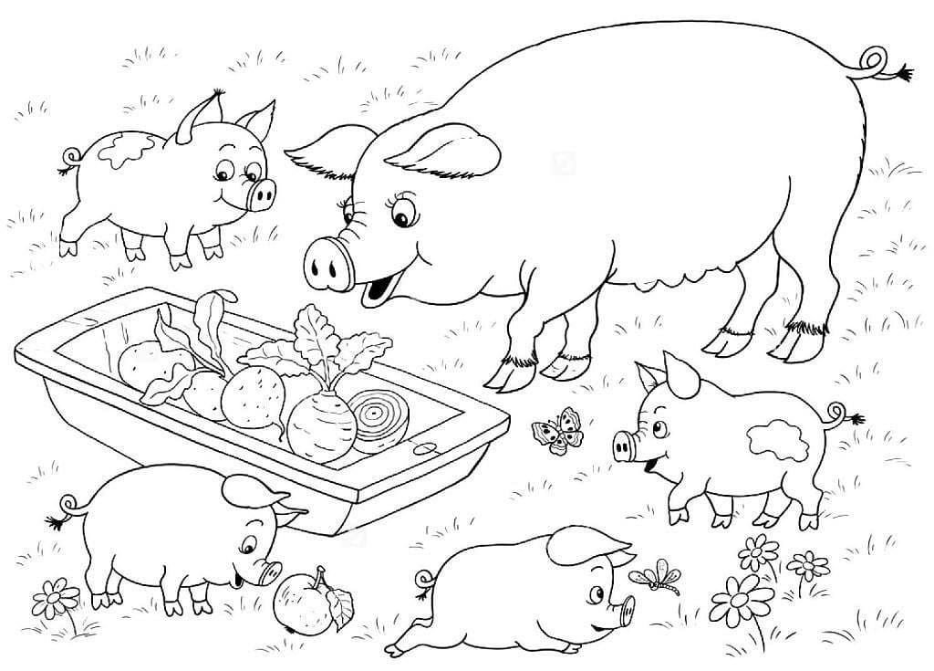 Trajeron comida a los cerdos