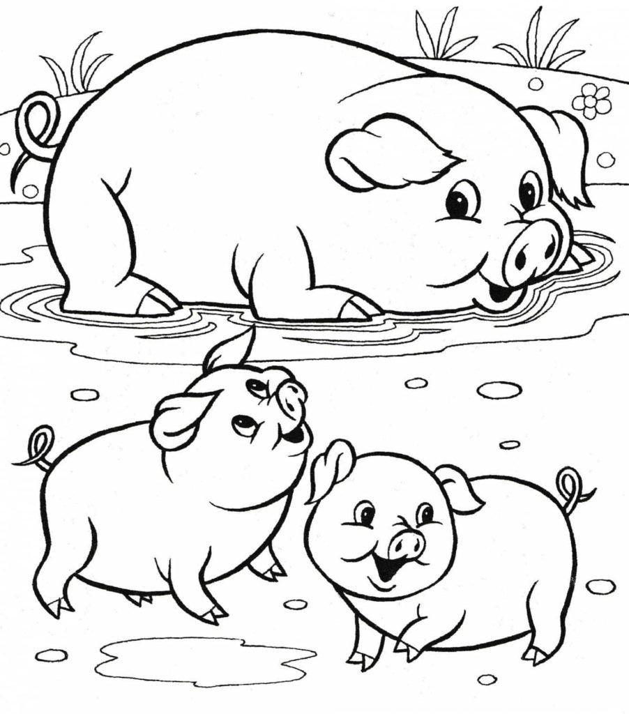Cerdos nadando en un charco